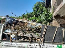 Best Moving and Downsizing Cleanouts  in Lusk, WY